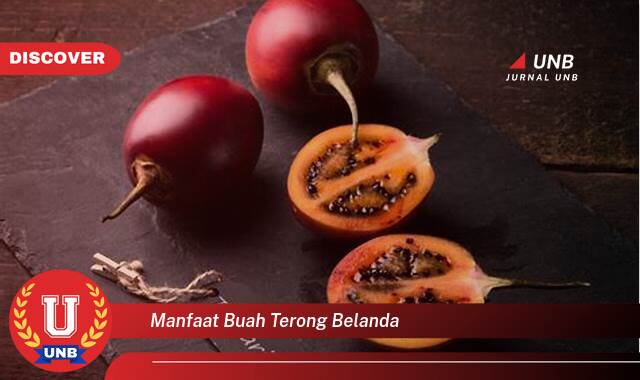 Temukan 9 Manfaat Buah Terong Belanda untuk Kesehatan Anda yang Luar Biasa