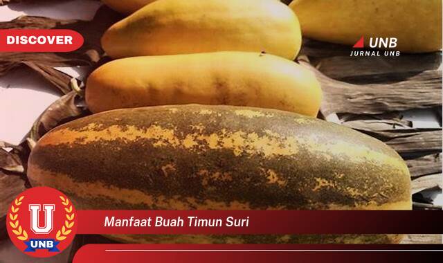 Temukan 10 Manfaat Buah Timun Suri untuk Kesehatan Tubuh Anda Selama Puasa Temukan 10 Manfaat Buah Timun Suri untuk Kesehatan Tubuh Anda Selama Puasa