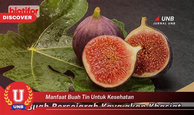 Temukan 9 Manfaat Buah Tin untuk Kesehatan, Dari Pencernaan hingga Jantung