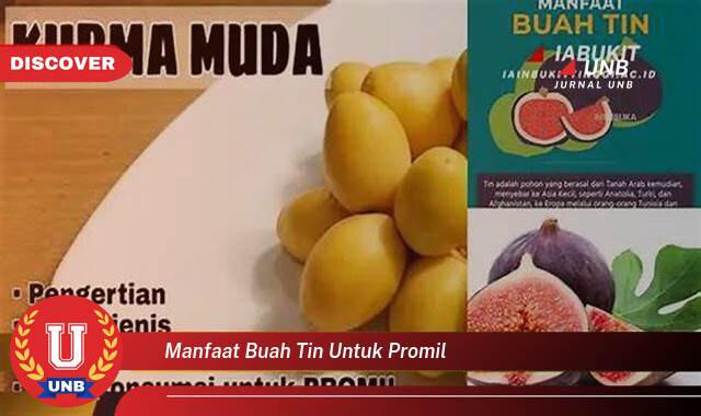 Ketahui 9 Manfaat manfaat buah tin untuk promil yang Wajib Kamu Intip