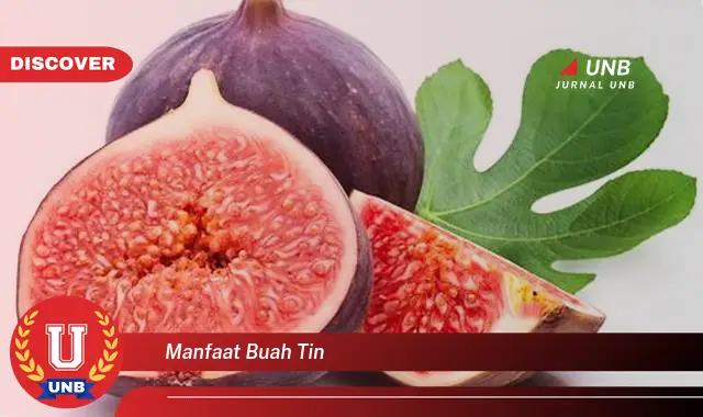 manfaat buah tin