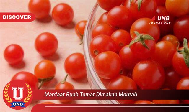 Temukan 8 Manfaat Buah Tomat Dimakan Mentah untuk Kesehatan Anda