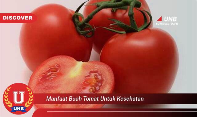 Temukan 9 Manfaat Buah Tomat untuk Kesehatan Tubuh Anda Secara Lengkap