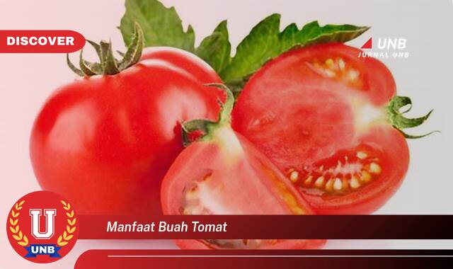 Temukan 8 Manfaat Buah Tomat untuk Kesehatan, Kecantikan, dan Masakan Temukan 8 Manfaat Buah Tomat untuk Kesehatan, Kecantikan, dan Masakan