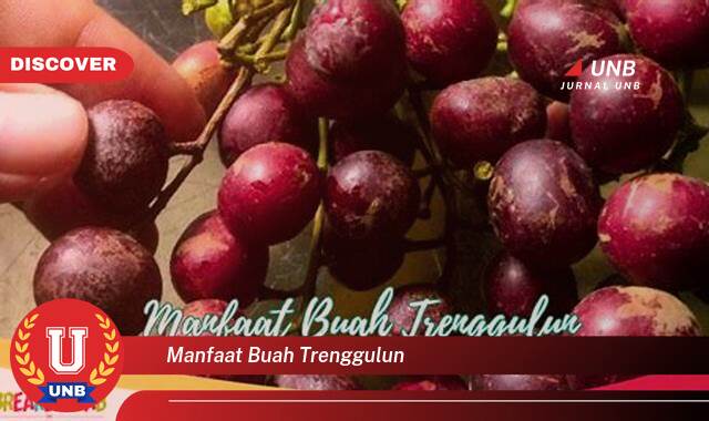 Temukan 9 Manfaat Buah Trenggulun untuk Kesehatan Anda yang Menakjubkan Temukan 9 Manfaat Buah Trenggulun untuk Kesehatan Anda yang Menakjubkan