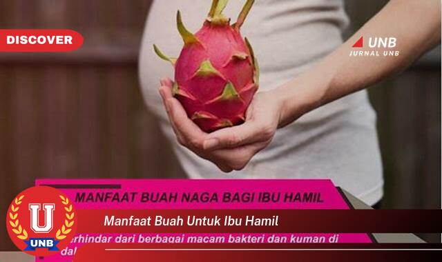 Temukan 8 Manfaat manfaat buah untuk ibu hamil yang Jarang Diketahui