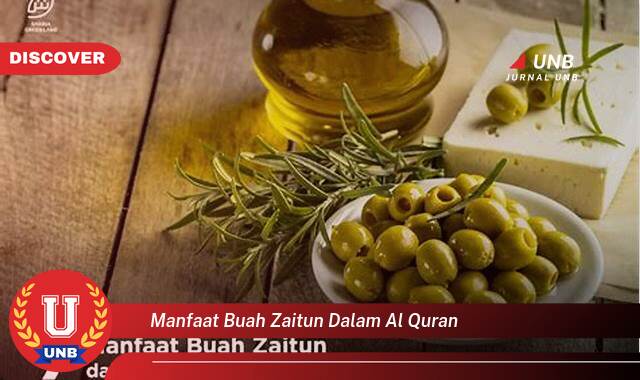 Temukan 9 Manfaat Buah Zaitun yang Disebutkan dalam Al,Quran dan Hadits