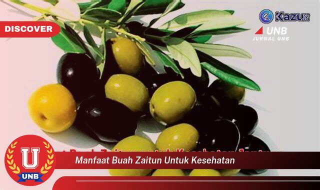 Temukan 9 Manfaat manfaat buah zaitun untuk kesehatan yang Bikin Kamu Penasaran