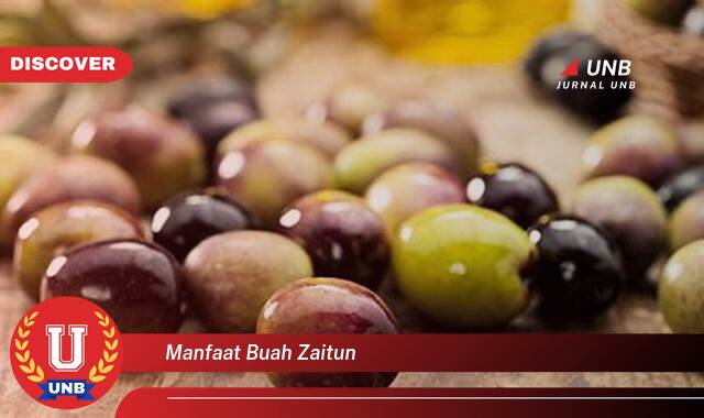 Temukan 8 Manfaat Buah Zaitun untuk Kesehatan Tubuh Anda Temukan 8 Manfaat Buah Zaitun untuk Kesehatan Tubuh Anda