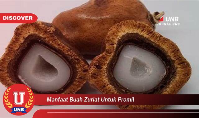 Temukan 10 Manfaat Buah Zuriat untuk Promil, Meningkatkan Kesuburan dan Mempercepat Kehamilan Secara Alami