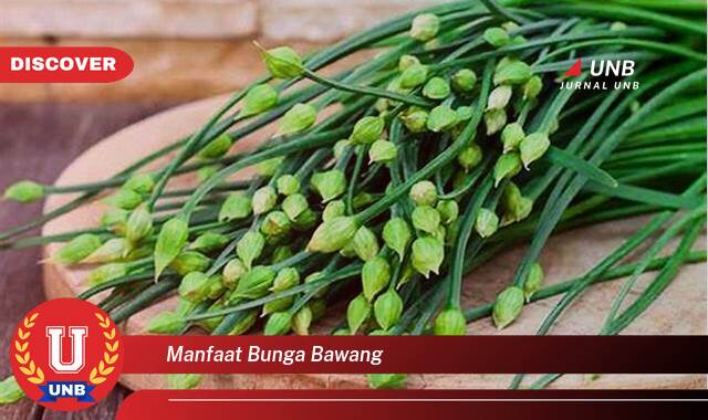 Ketahui 10 Manfaat manfaat bunga bawang yang tidak Semua Orang Tau