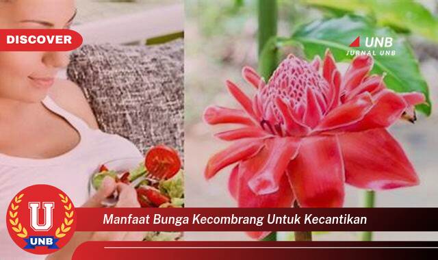 Inilah 9 Manfaat manfaat bunga kecombrang untuk kecantikan yang Jarang Diketahui