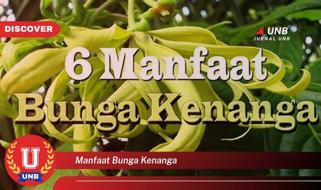 Temukan 9 Manfaat Bunga Kenanga untuk Kesehatan, Kecantikan, dan Aromaterapi