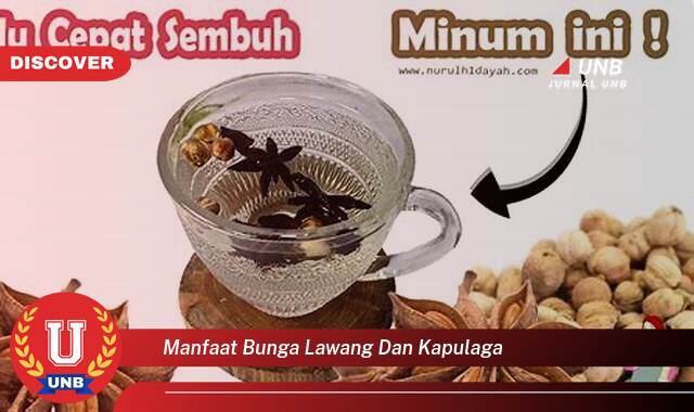 Temukan 8 Manfaat Bunga Lawang dan Kapulaga untuk Kesehatan Anda Temukan 8 Manfaat Bunga Lawang dan Kapulaga untuk Kesehatan Anda