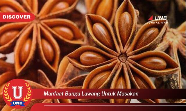 Inilah 8 Manfaat manfaat bunga lawang untuk masakan yang Wajib Kamu Intip