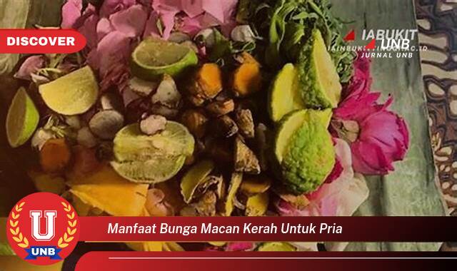 Temukan 8 Manfaat Bunga Macan Kerah untuk Pria, Meningkatkan Stamina dan Vitalitas