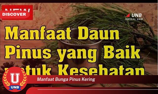 Temukan 8 Manfaat manfaat bunga pinus kering yang tidak Semua Orang Tau