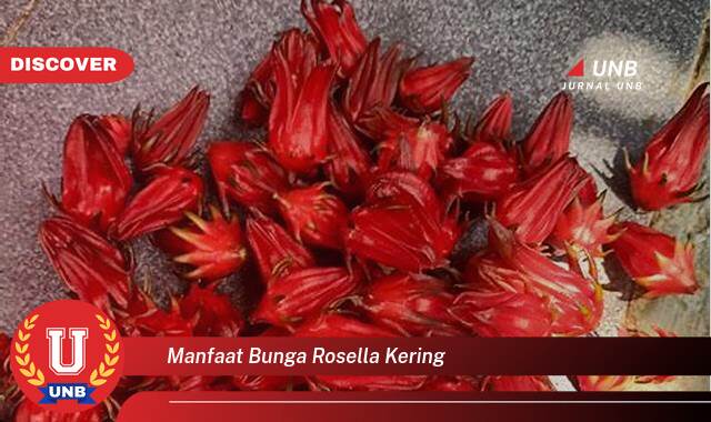 Temukan 10 Manfaat Bunga Rosella Kering untuk Kesehatan Anda yang Luar Biasa