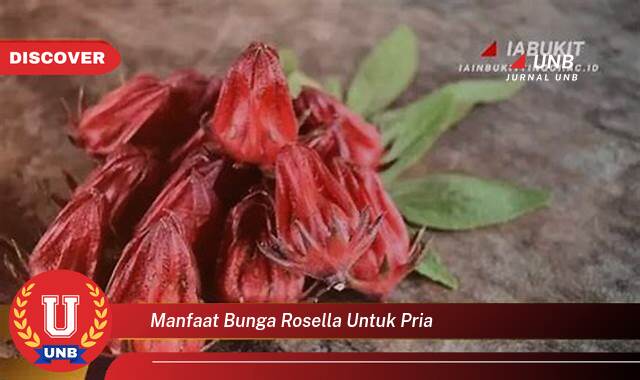 Temukan 8 Manfaat Bunga Rosella untuk Kesehatan Pria, Meningkatkan Stamina, Menjaga Jantung, dan Lainnya