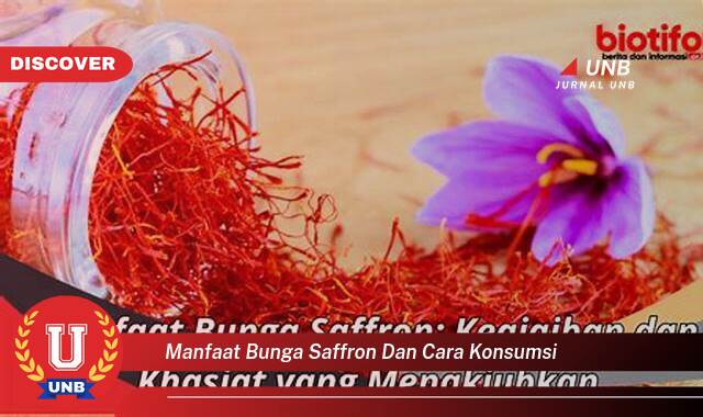 Ketahui 9 Manfaat manfaat bunga saffron dan cara konsumsi yang Bikin Kamu Penasaran