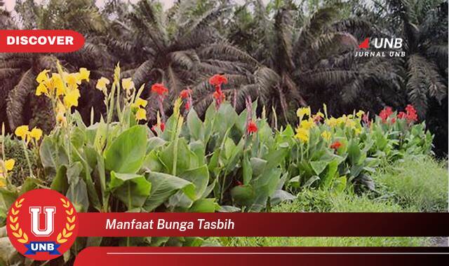 10 Manfaat bunga tasbih yang Bikin Kamu Penasaran