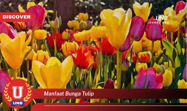 Temukan 10 Manfaat Bunga Tulip untuk Kesehatan, Kecantikan, dan Dekorasi Rumah