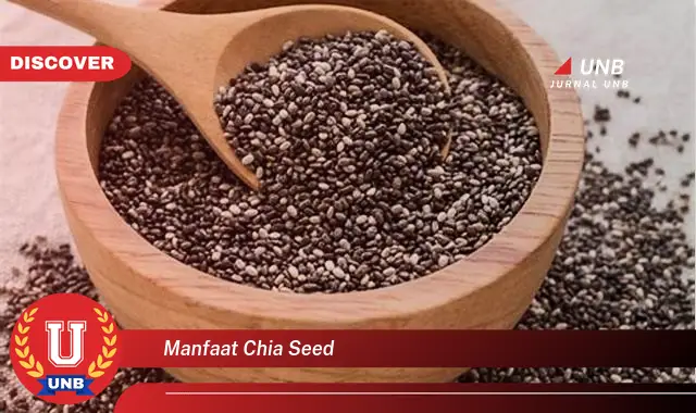 manfaat chia seed