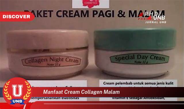 Inilah 10 Manfaat manfaat cream collagen malam yang tidak Semua Orang Tau