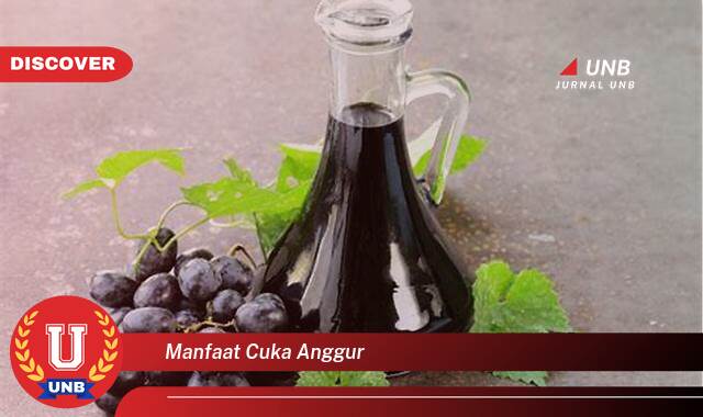 Ketahui 9 Manfaat manfaat cuka anggur yang Wajib kamu ketahui