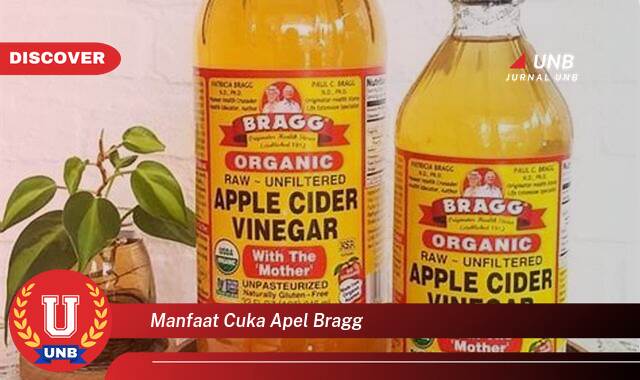Temukan 8 Manfaat manfaat cuka apel bragg yang tidak Semua Orang Tau
