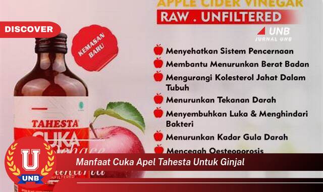 Temukan 8 Manfaat manfaat cuka apel tahesta untuk ginjal yang tidak Semua Orang Tau