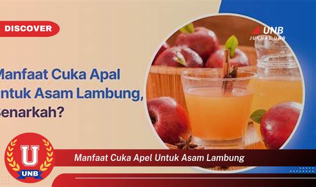 Temukan 10 Manfaat Cuka Apel untuk Asam Lambung, Meredakan Gejala dan Meningkatkan Pencernaan