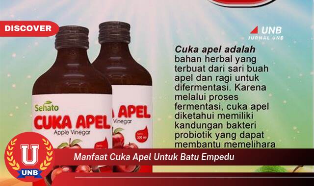 Temukan 10 Manfaat Cuka Apel untuk Batu Empedu, Meredakan Gejala dan Mencegah Pembentukan