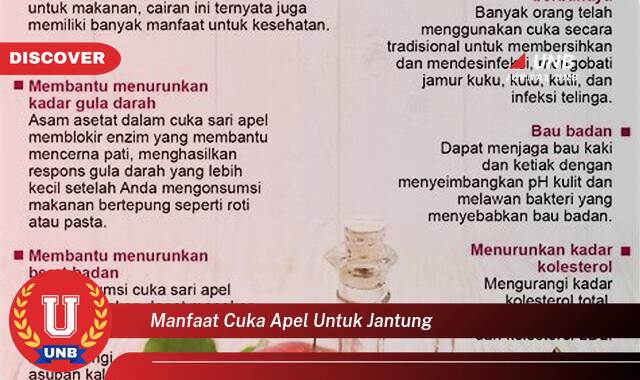 Temukan 8 Manfaat Cuka Apel untuk Jantung, Kesehatan Kardiovaskular yang Lebih Baik Temukan 8 Manfaat Cuka Apel untuk Jantung, Kesehatan Kardiovaskular yang Lebih Baik