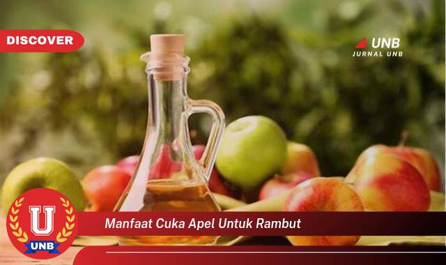 Temukan 9 Manfaat Cuka Apel untuk Rambut, Rahasia Rambut Sehat, Berkilau, dan Bebas Ketombe Temukan 9 Manfaat Cuka Apel untuk Rambut, Rahasia Rambut Sehat, Berkilau, dan Bebas Ketombe