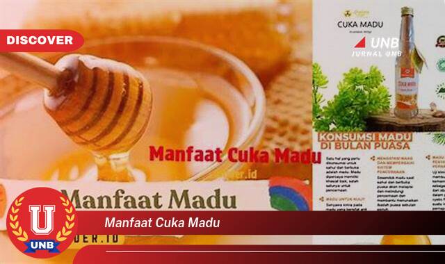 Inilah 8 Manfaat manfaat cuka madu yang Bikin Kamu Penasaran