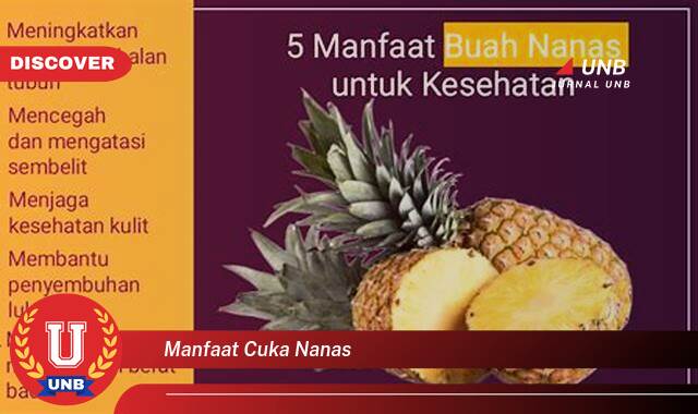 Temukan 10 Manfaat Cuka Nanas untuk Kesehatan Tubuh Anda