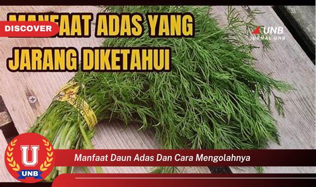 Temukan 10 Manfaat Daun Adas untuk Kesehatan dan Cara Mengolahnya Menjadi Hidangan Lezat Temukan 10 Manfaat Daun Adas untuk Kesehatan dan Cara Mengolahnya Menjadi Hidangan Lezat
