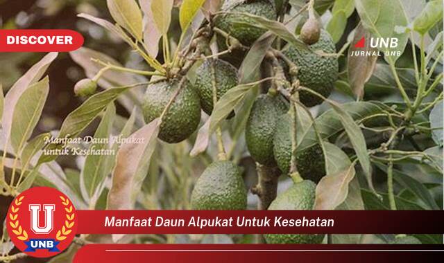 Temukan 8 Manfaat Daun Alpukat untuk Kesehatan, 10 Khasiat Luar Biasa yang Tak Terduga