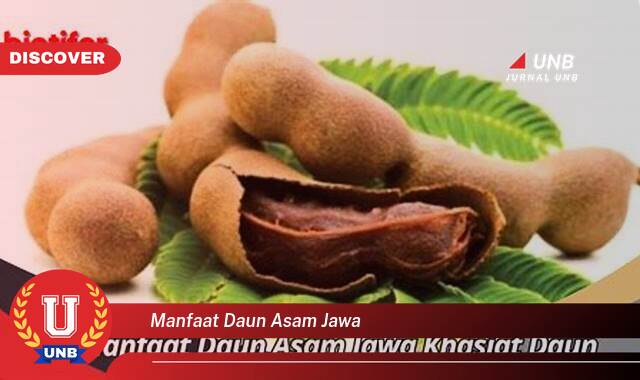 Temukan 9 Manfaat Daun Asam Jawa untuk Kesehatan Anda yang Luar Biasa