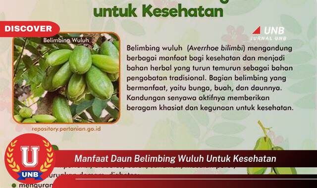 Temukan 10 Manfaat Daun Belimbing Wuluh untuk Kesehatan,  Obat Alami untuk Berbagai Penyakit