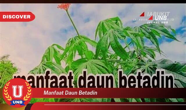 Temukan 9 Manfaat Daun Betadine untuk Kesehatan Kulit dan Luka