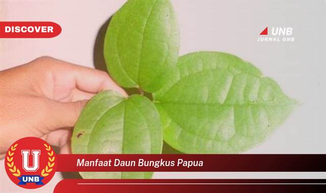 Temukan 8 Manfaat Daun Bungkus Papua untuk Kesehatan dan Kecantikan