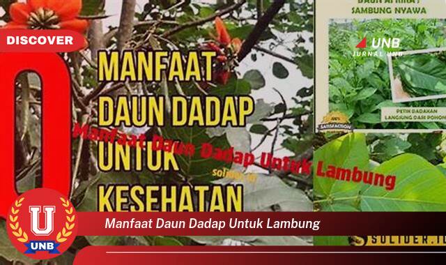 Temukan 10 Manfaat Daun Dadap untuk Mengatasi Masalah Lambung Anda