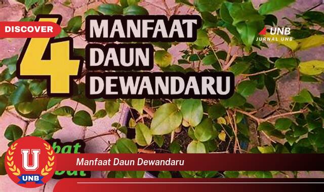 Temukan 10 Manfaat Daun Dewandaru untuk Kesehatan, Khasiat, Cara Penggunaan, dan Efek Samping Temukan 10 Manfaat Daun Dewandaru untuk Kesehatan, Khasiat, Cara Penggunaan, dan Efek Samping
