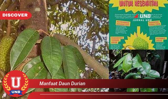 Temukan 10 Manfaat Daun Durian untuk Kesehatan Anda yang Menakjubkan