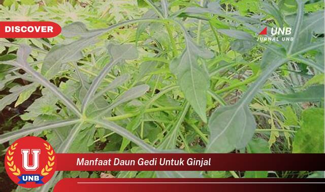 Temukan 10 Manfaat Daun Gedi untuk Ginjal, Pencegahan dan Pengobatan Alami