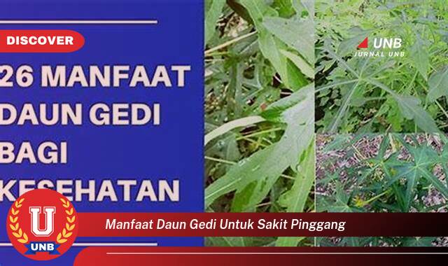 Temukan 10 Manfaat Daun Gedi untuk Mengatasi Sakit Pinggang Secara Alami