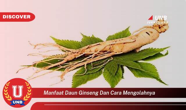 Temukan 10 Manfaat Daun Ginseng untuk Kesehatan dan Cara Mengolahnya Menjadi Obat Alami