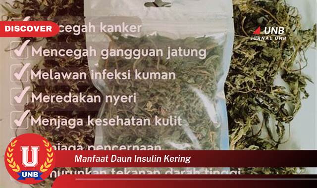 9 Manfaat manfaat daun insulin kering yang tidak Semua Orang Tau